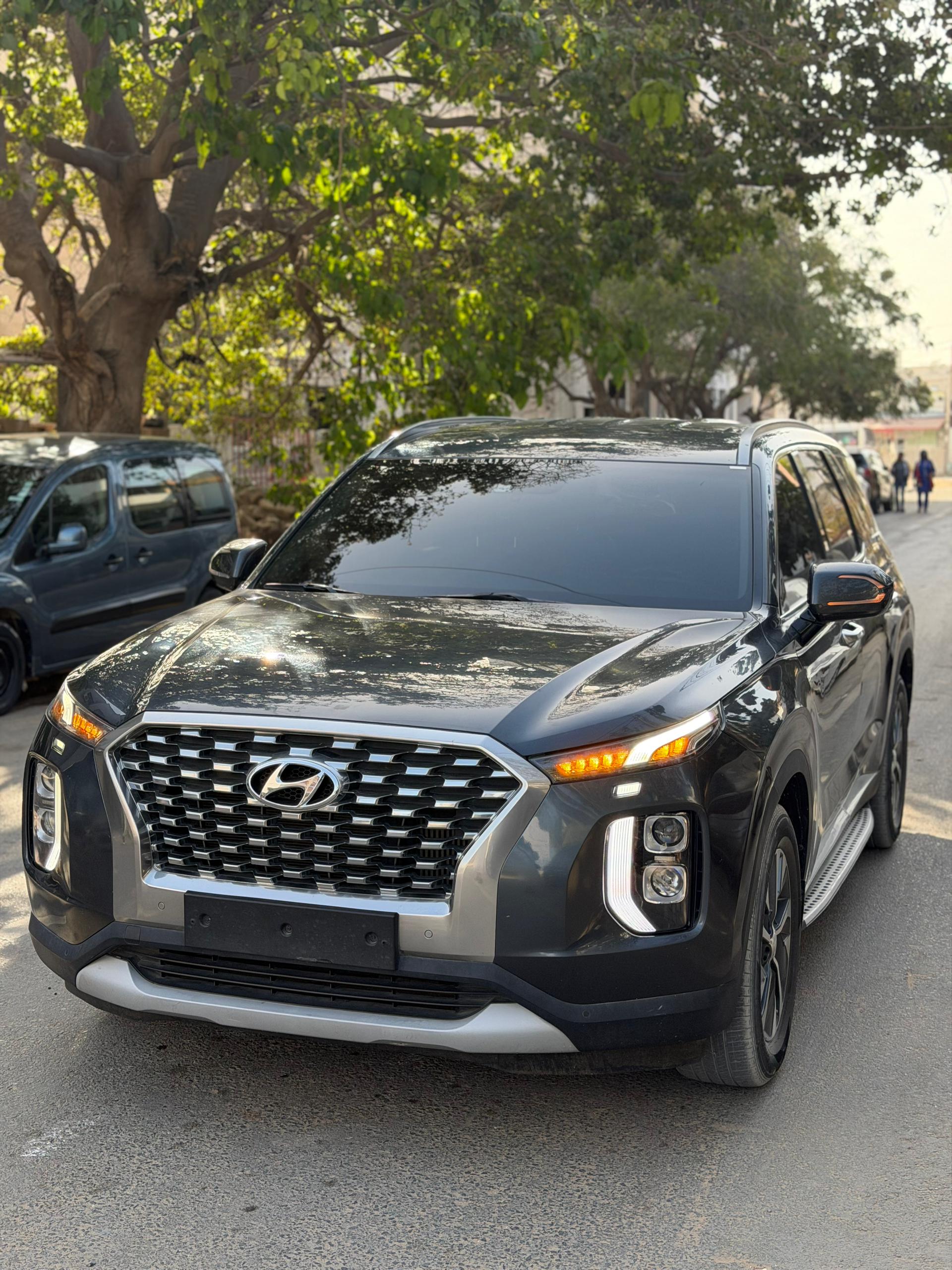 Hyundai Palisade VIP 2020