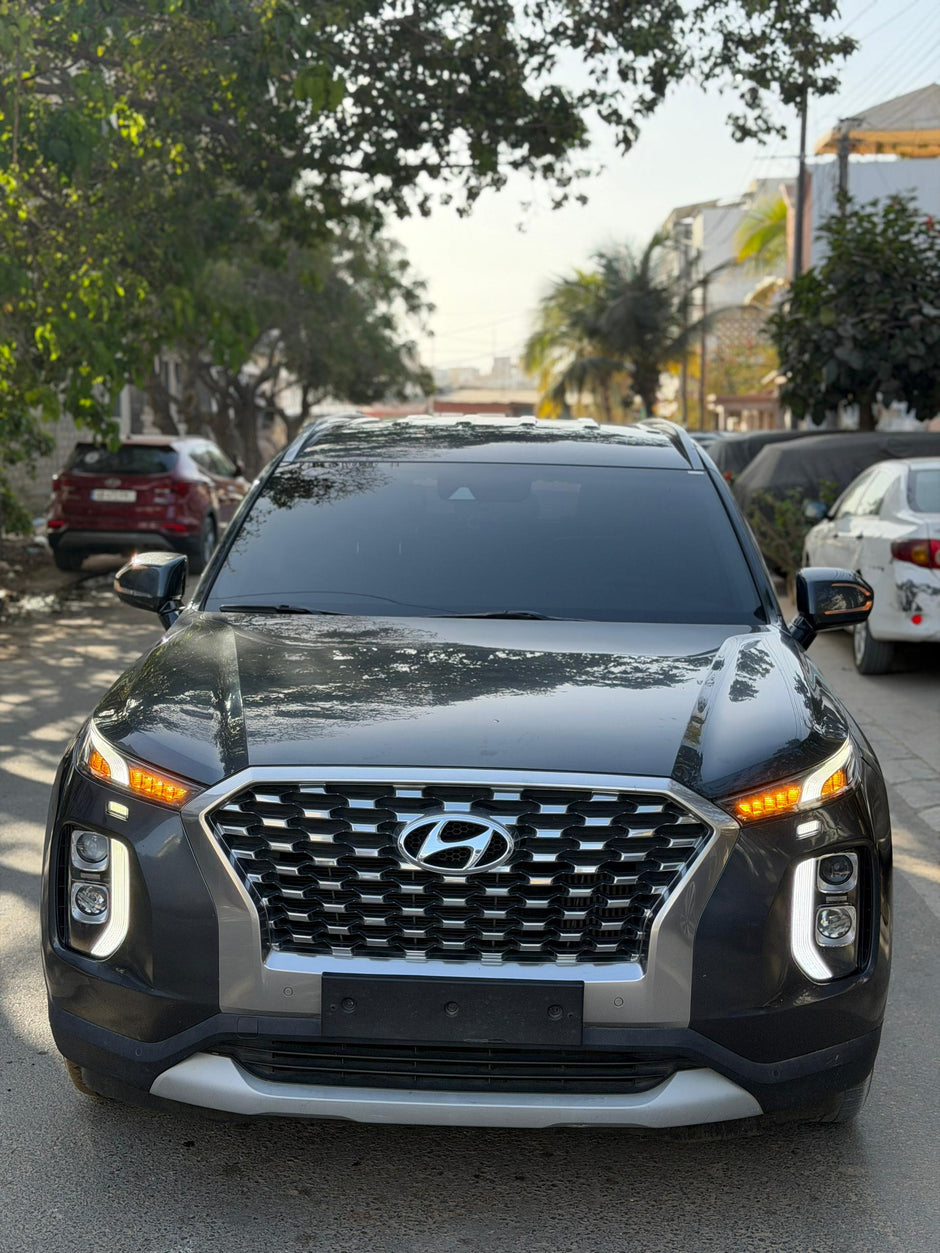 Hyundai Palisade VIP 2020