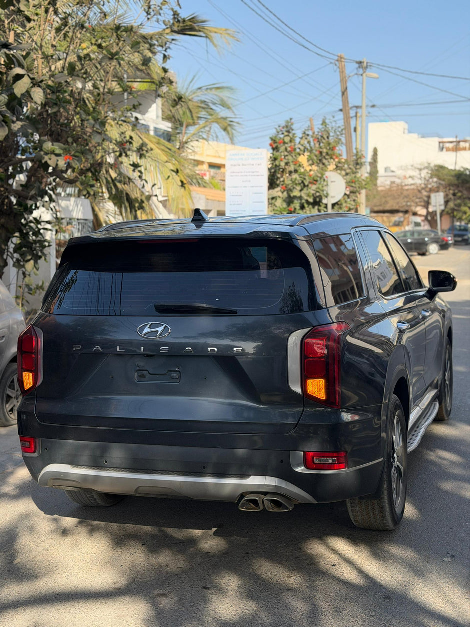 Hyundai Palisade VIP 2020