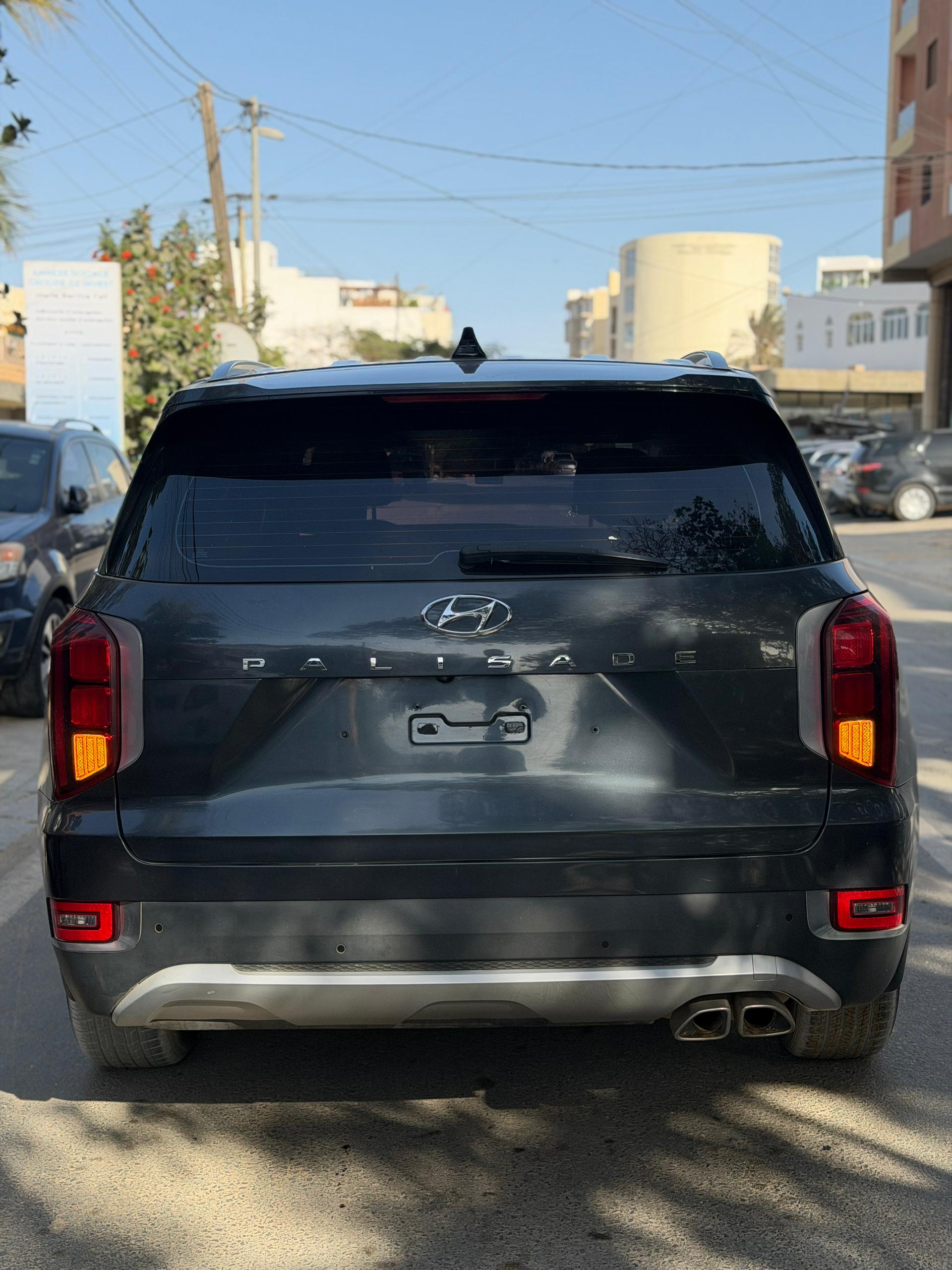 Hyundai Palisade VIP 2020