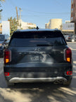 Hyundai Palisade VIP 2020